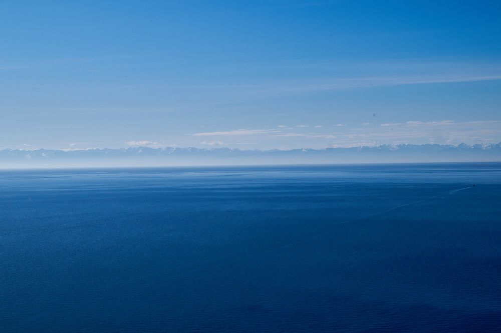 Photograph by Анастасия Пельменёва