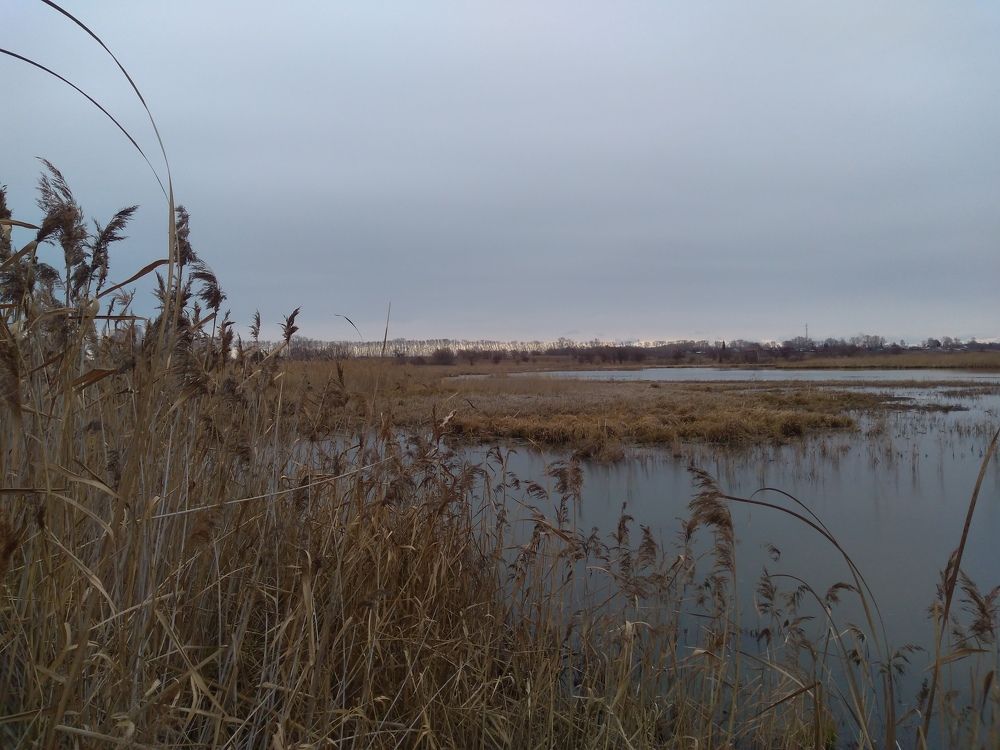 Photograph by СТЕПАН ДЖУЛАКИДЗЕ