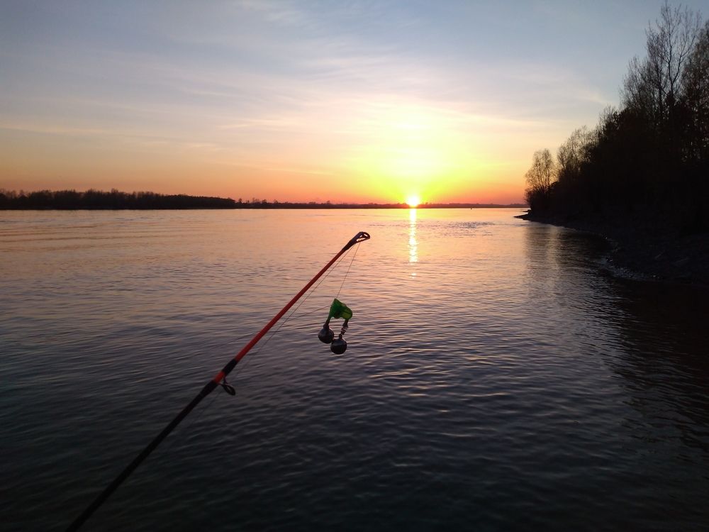 Photograph by СТЕПАН ДЖУЛАКИДЗЕ