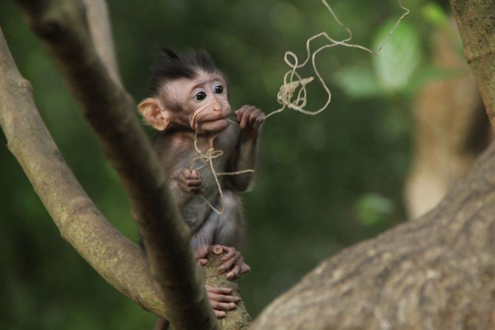 Фотография автора Jozef Valenta