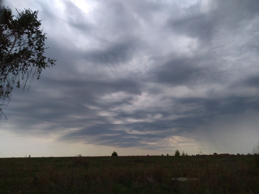 Photograph by СТЕПАН ДЖУЛАКИДЗЕ