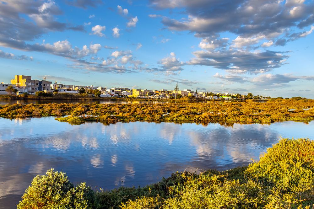 Фотография автора Ismail SAIDI