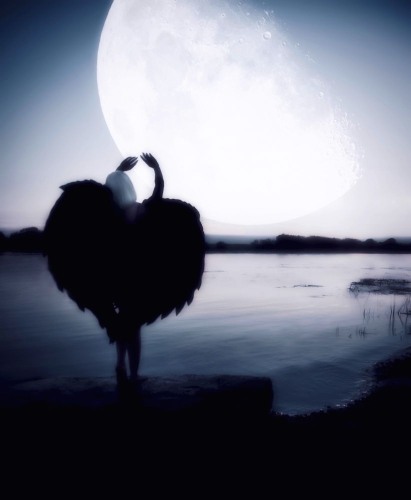 Photograph by Светлана Перминова