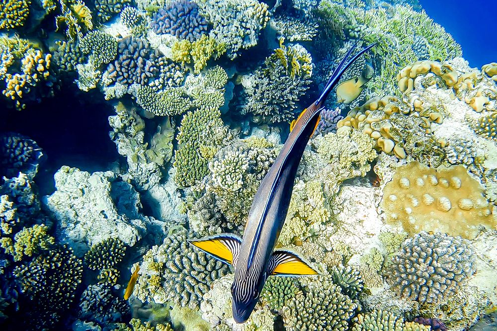 Photograph by Ivars Andrups