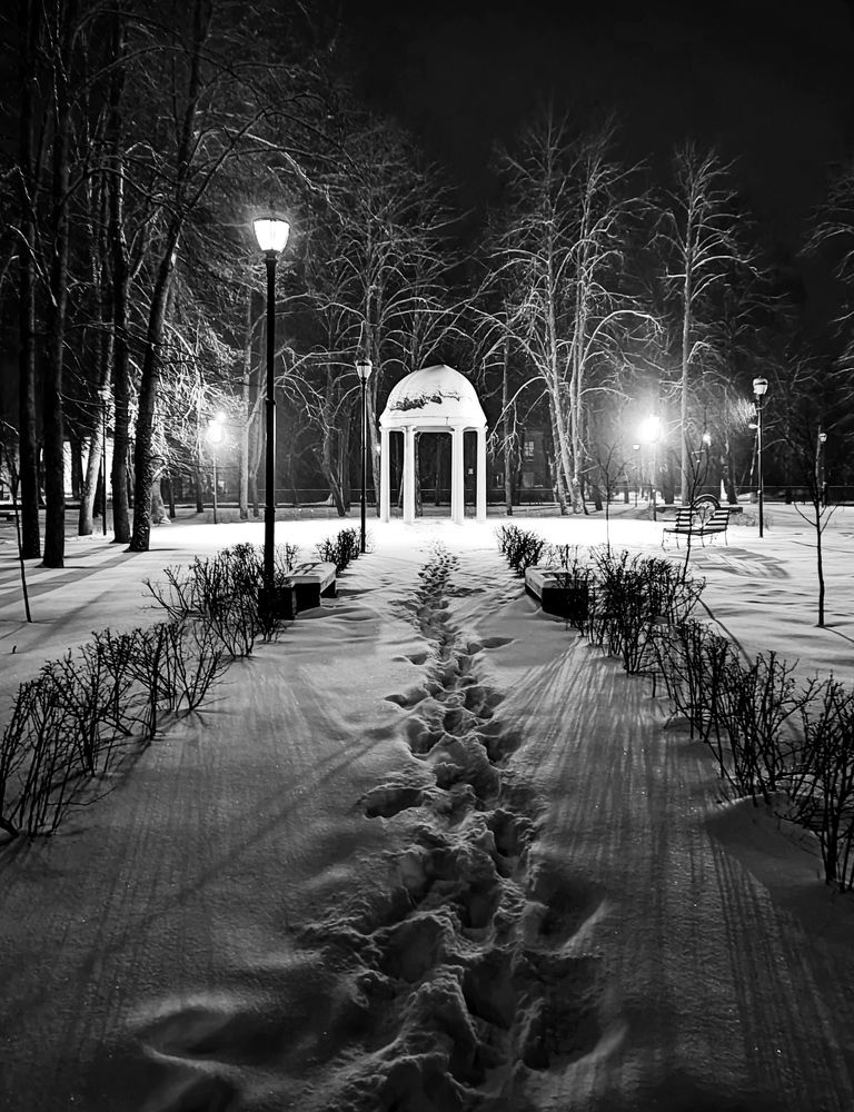 Photograph by Ольга Бондаренко