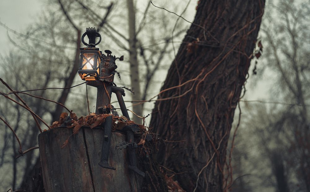 Photograph by Рома Янко