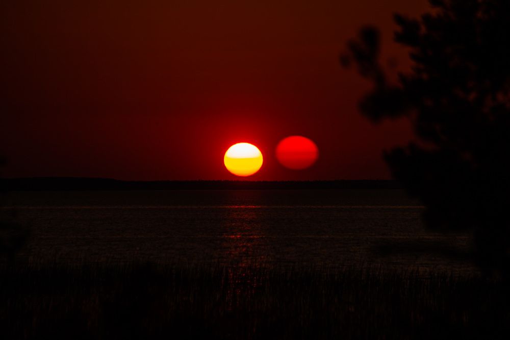 Photograph by Ольга Левакова