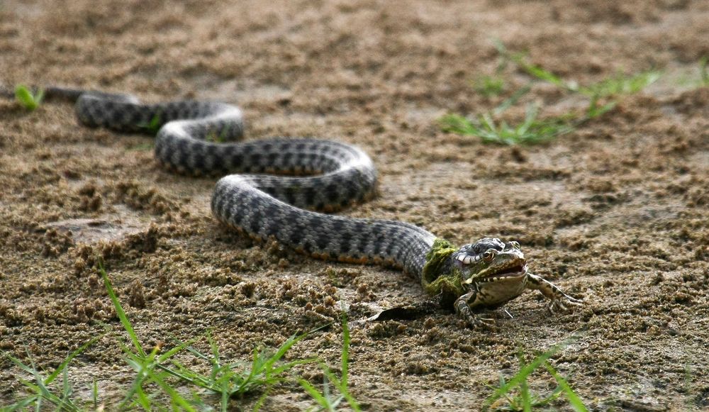 Photograph by Виктор