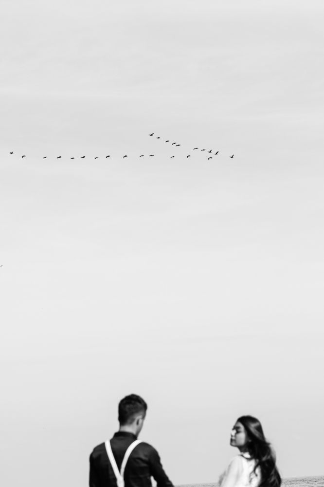 Photograph by Mohammad Reza Borji