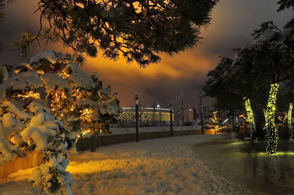 парк Галицкого Краснодар