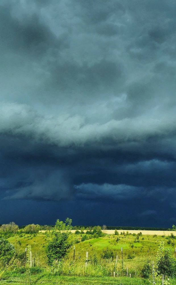 Photograph by Любовь Колмакова