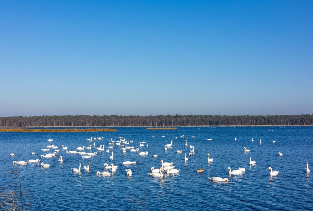 Photograph by GAĻINA GRIŠKOVA