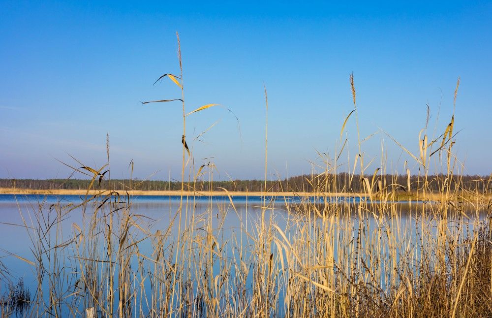 Photograph by GAĻINA GRIŠKOVA