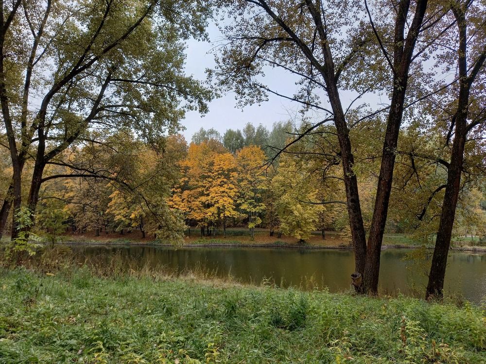 Photograph by Ольга