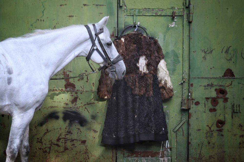 Фотография автора Елена Кириллова