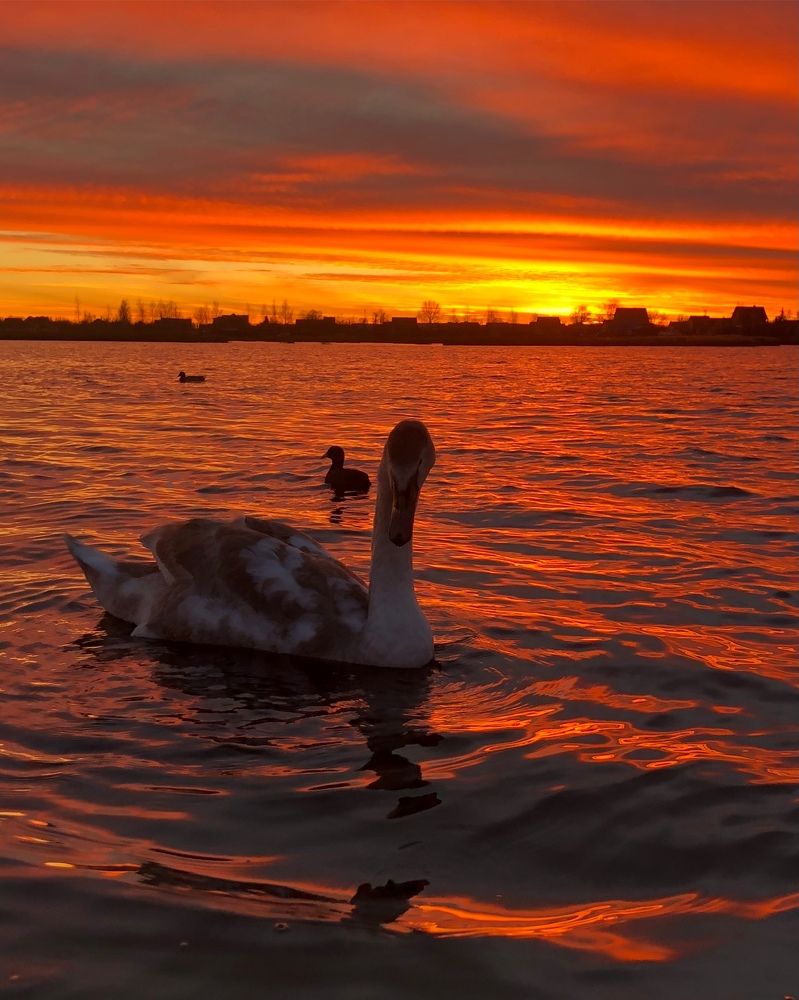 Photograph by Halina Mitsevich