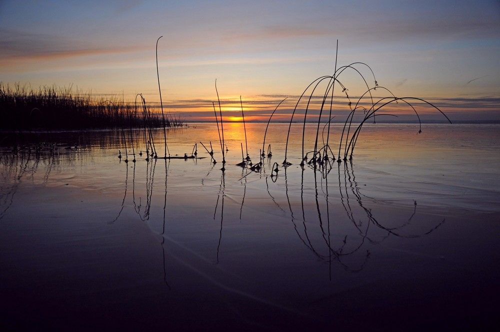 Фотография автора Дарья Васильева