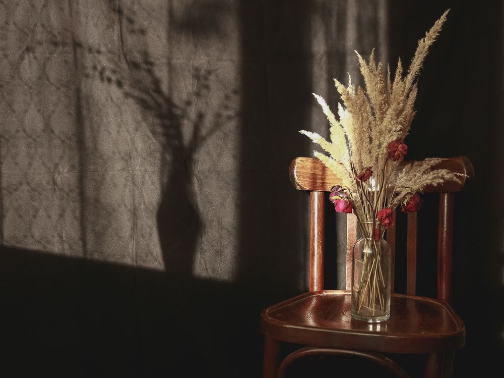 Фотография автора Анастасия Мещерякова