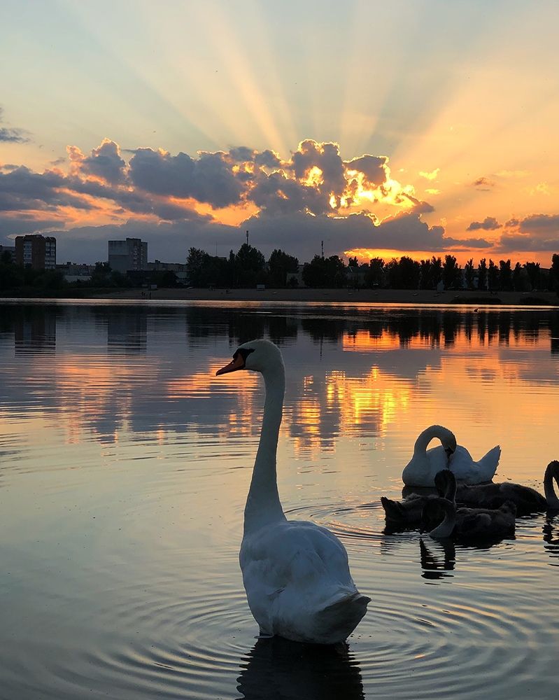 Photograph by Halina Mitsevich