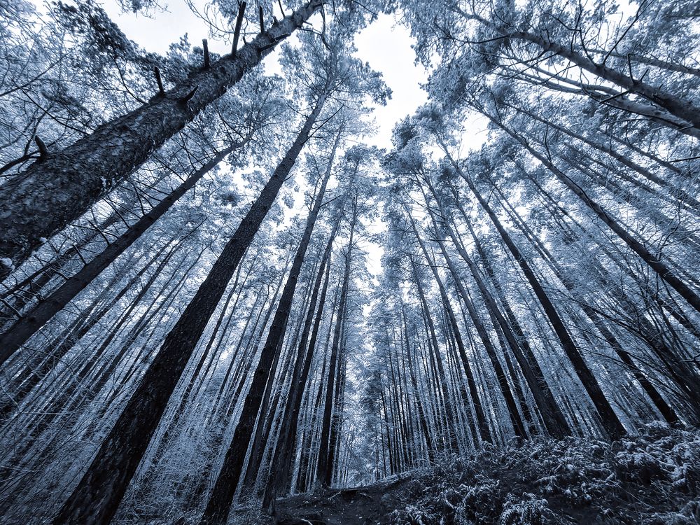 Photograph by Drutel Witold