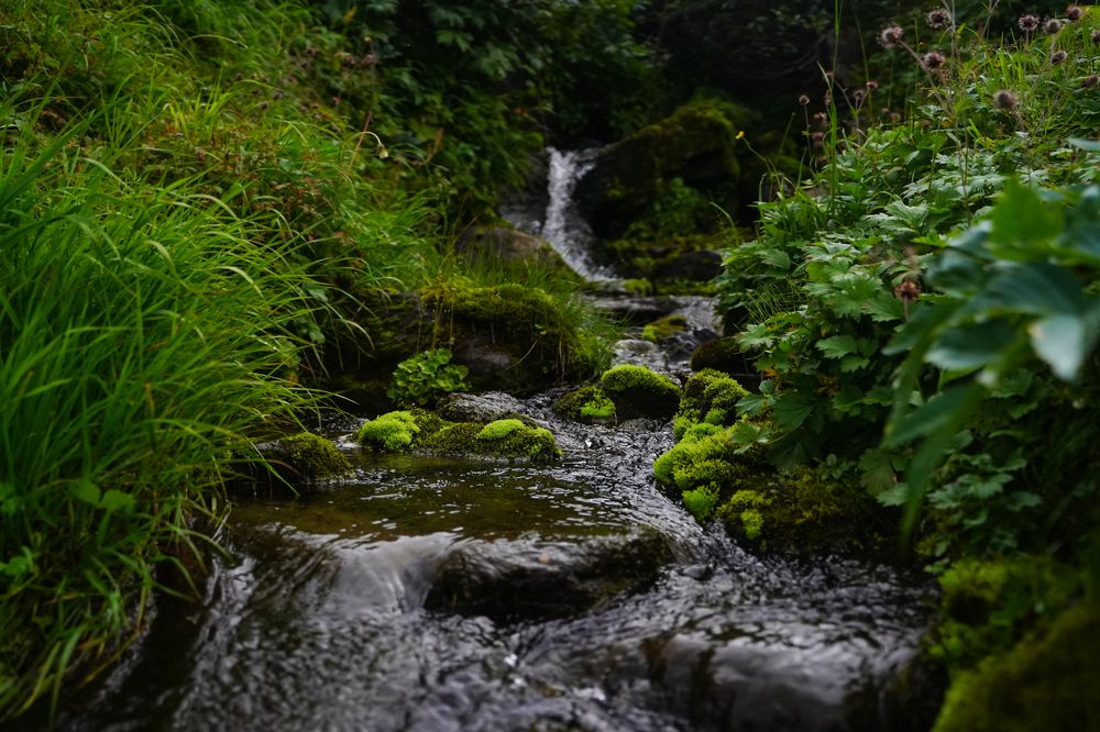 Photograph by Шашков Алексей