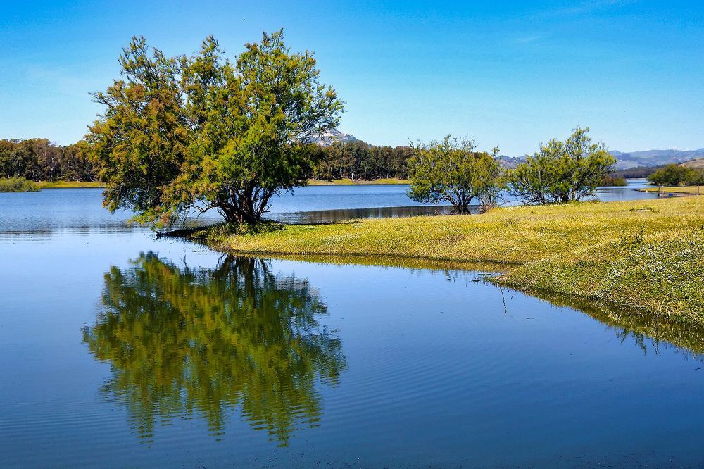 Photograph by Claudio Bonaccorsi