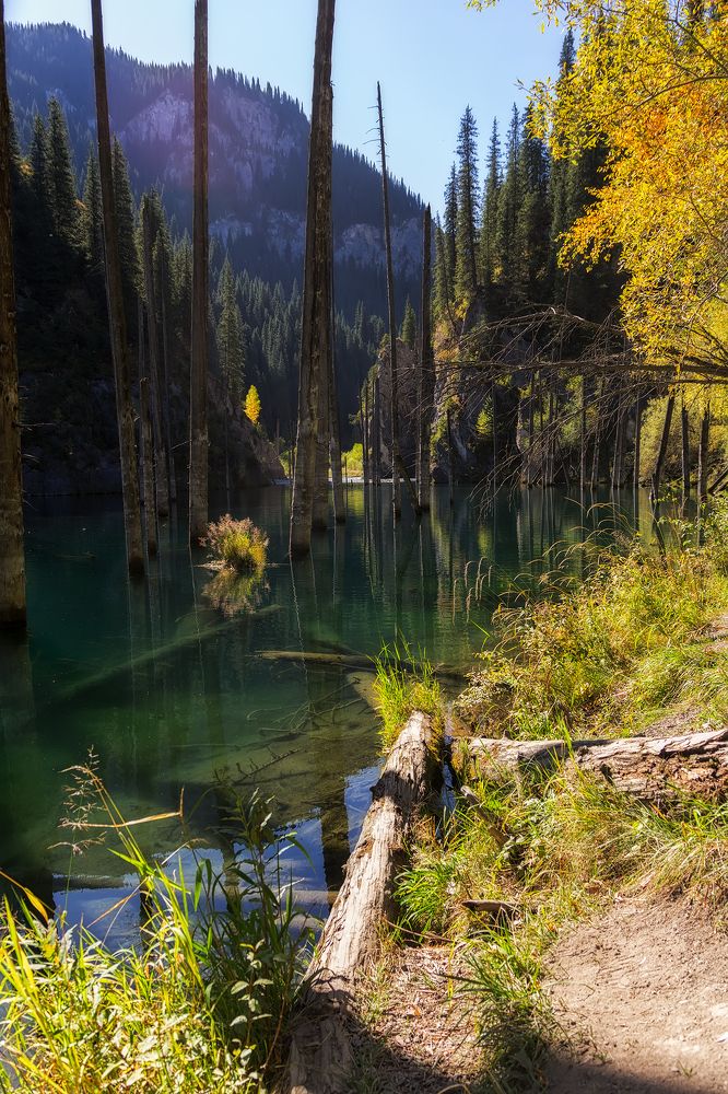 Photograph by niksnaksnikolos