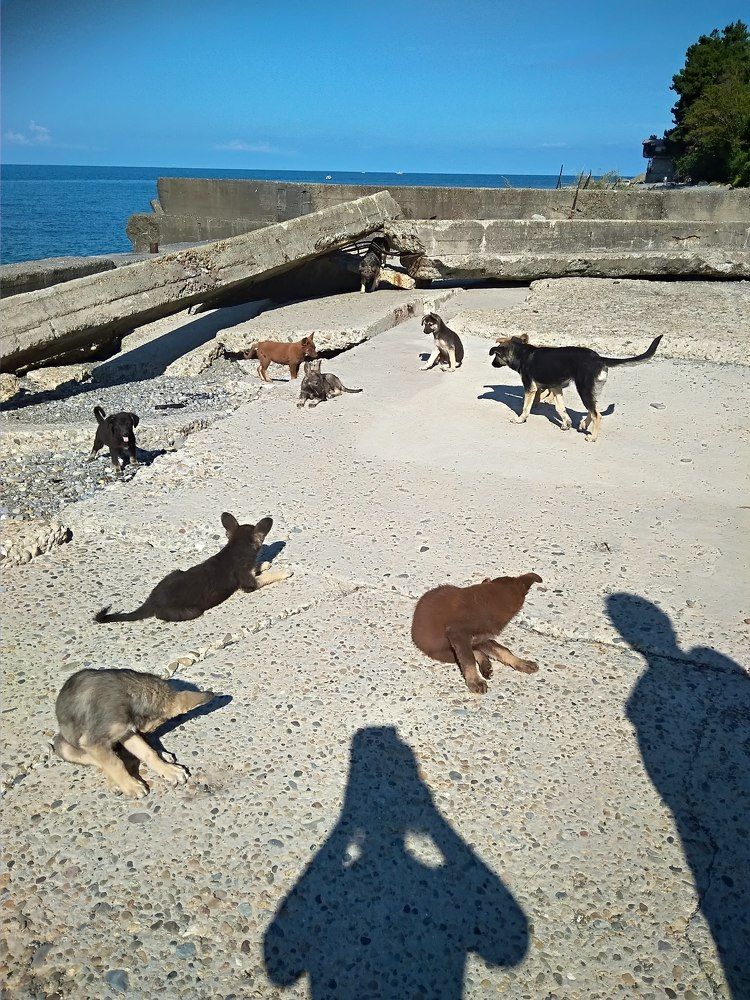 Photograph by Елена Горева