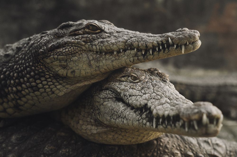 Photograph by Рома Янко