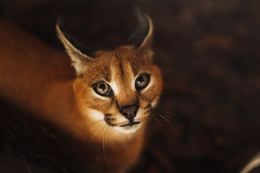 Photograph by Рома Янко