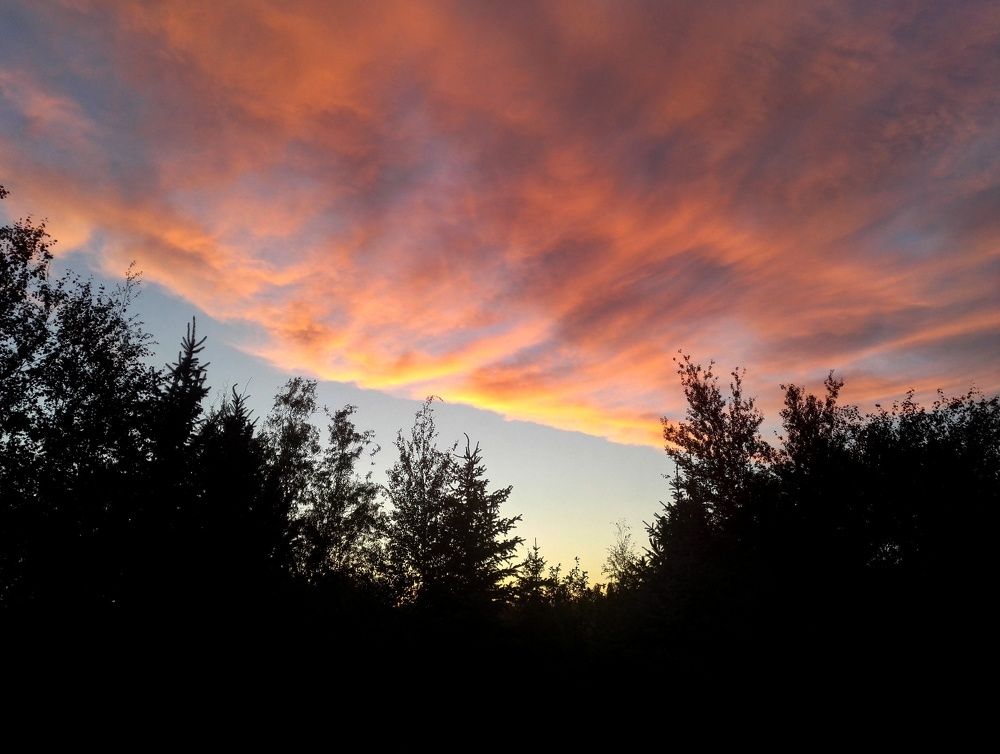 Photograph by Тамара Багровская