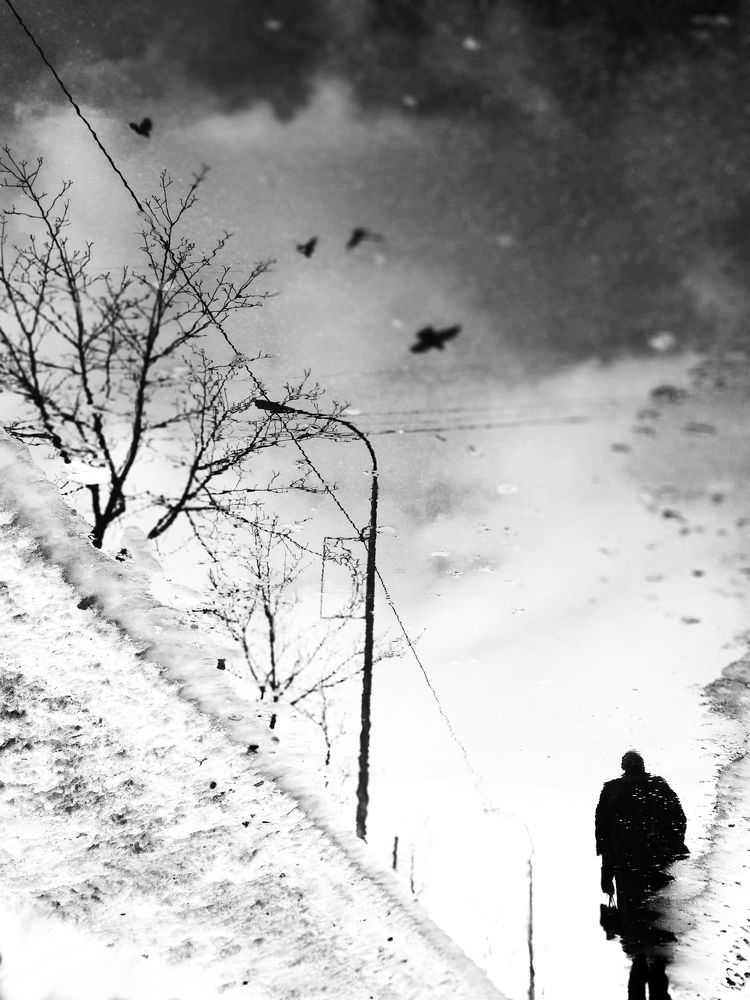 Photograph by Надежда Пидченко