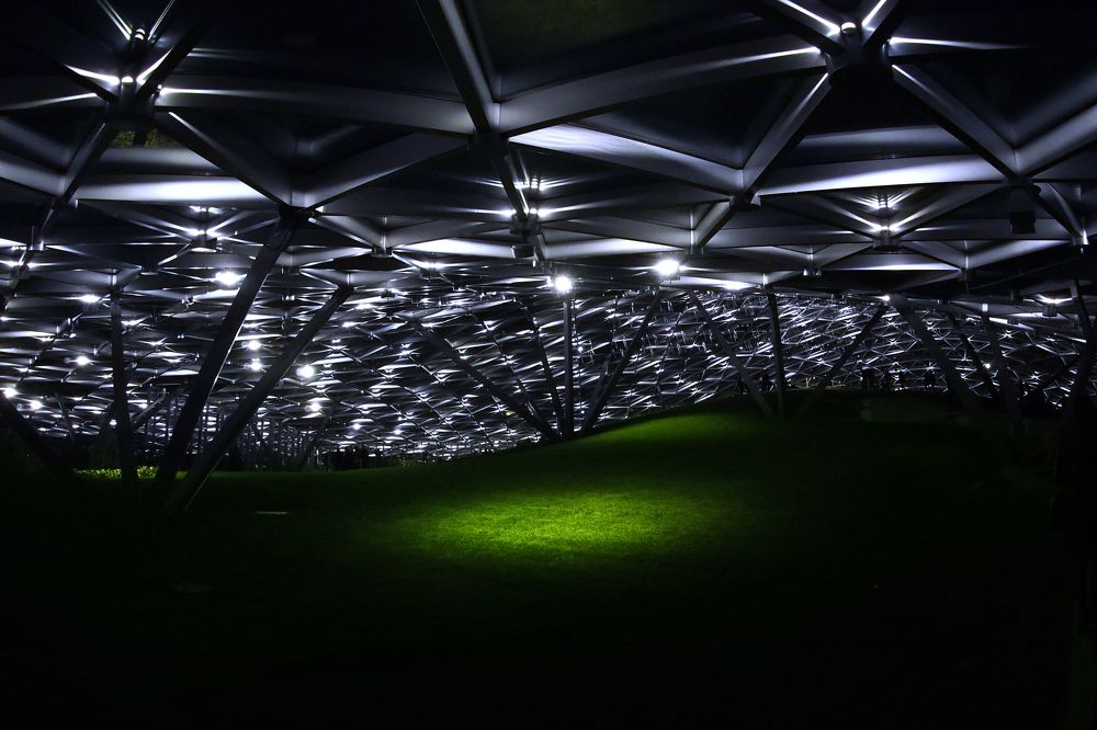 Photograph by Дмитрий Потапов