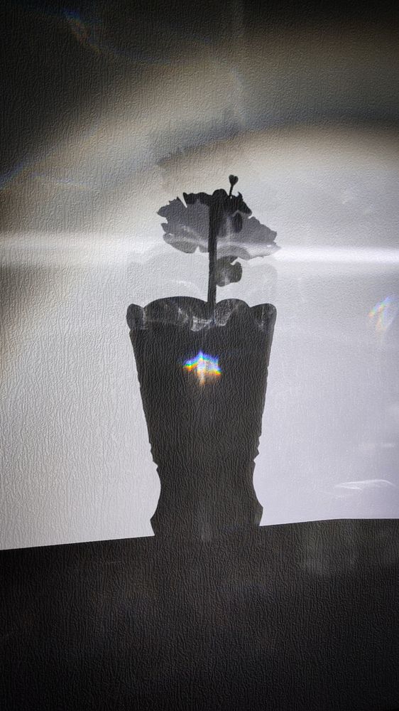 Фотография автора Ольга Неуймина