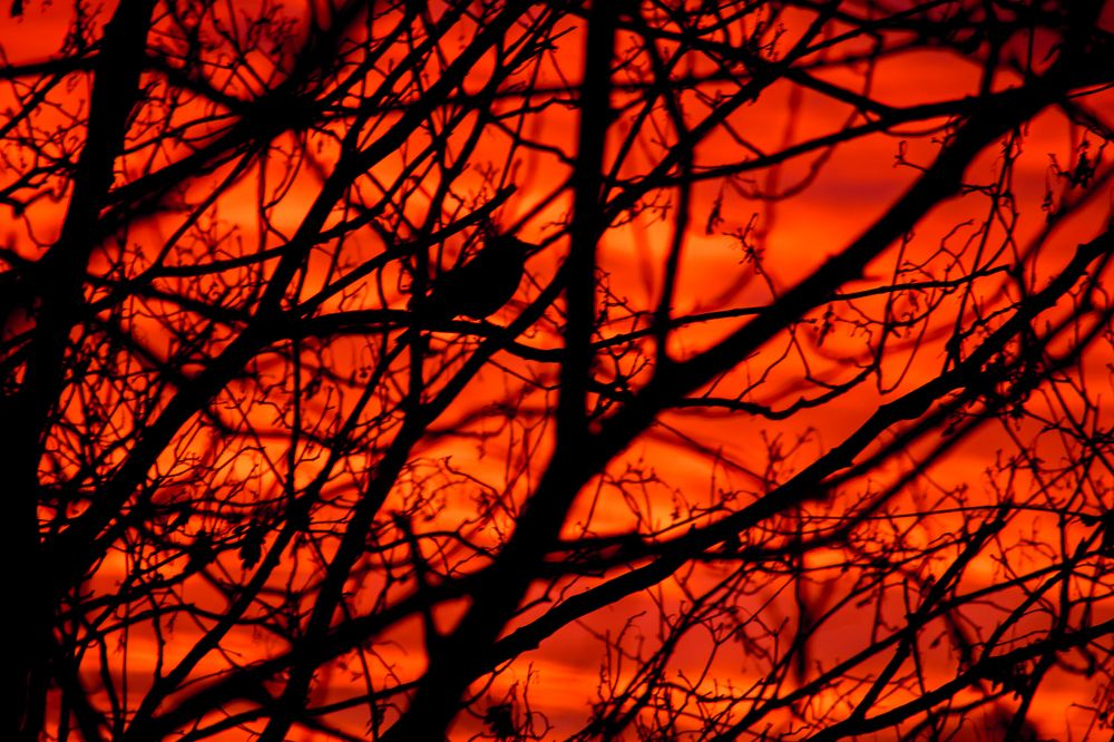 Photograph by Светлана Антонова