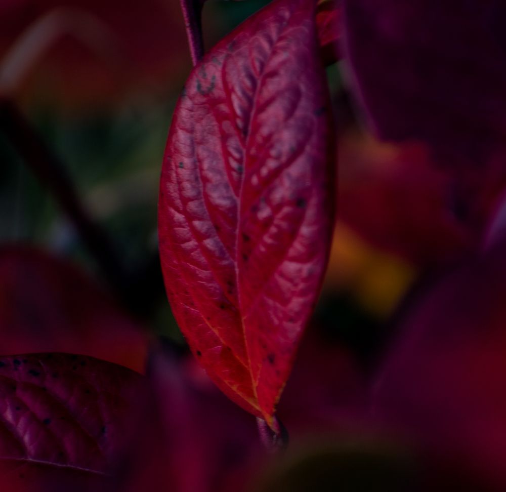 Photograph by Светлана Антонова