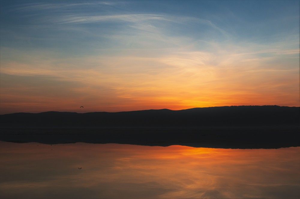 Фотография автора Елена Кедрова