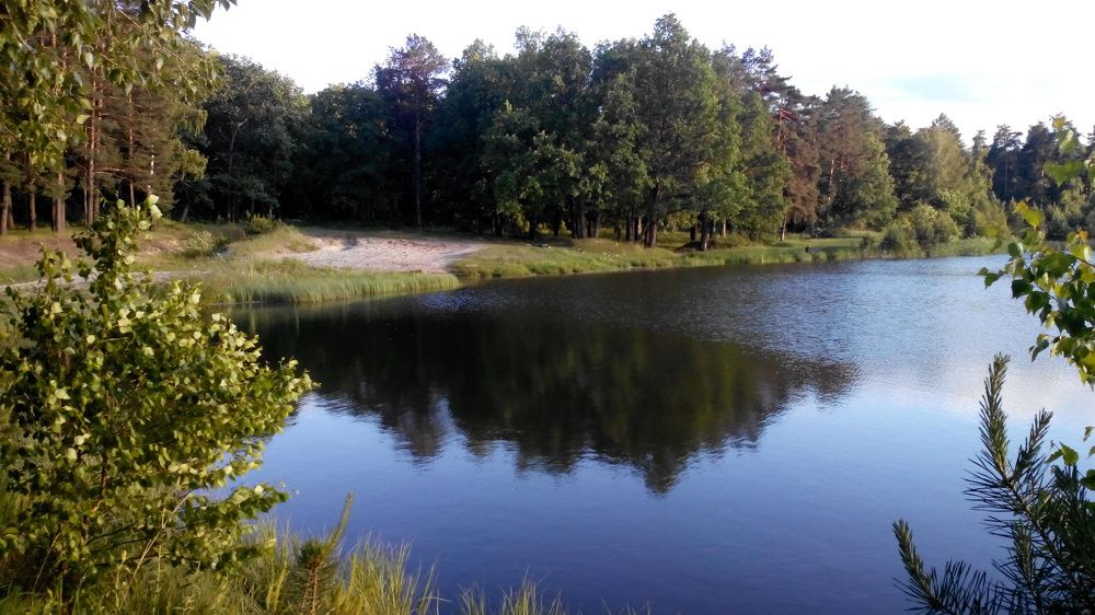 Фотография автора Татьяна Савранчук