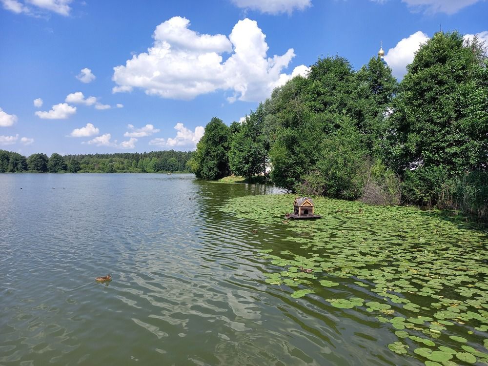 Photograph by Ольга