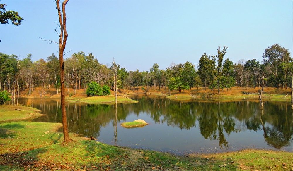 Lake on sunny morning in Pench Tiger Reserve