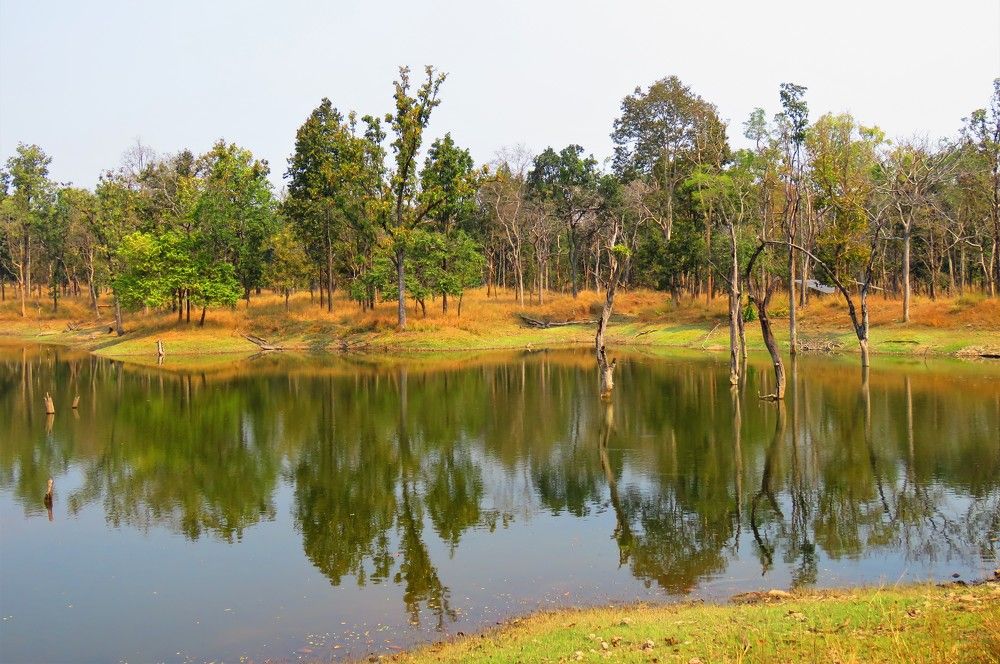Lake on sunny morning in Pench Tiger Reserve - II