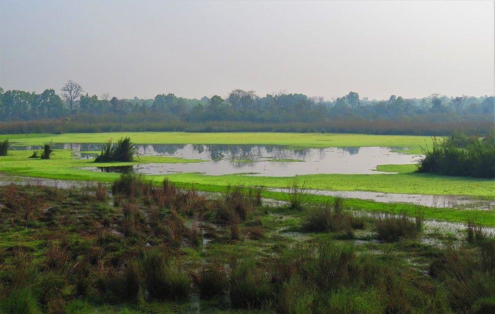 Photograph by ANISH BISWAS