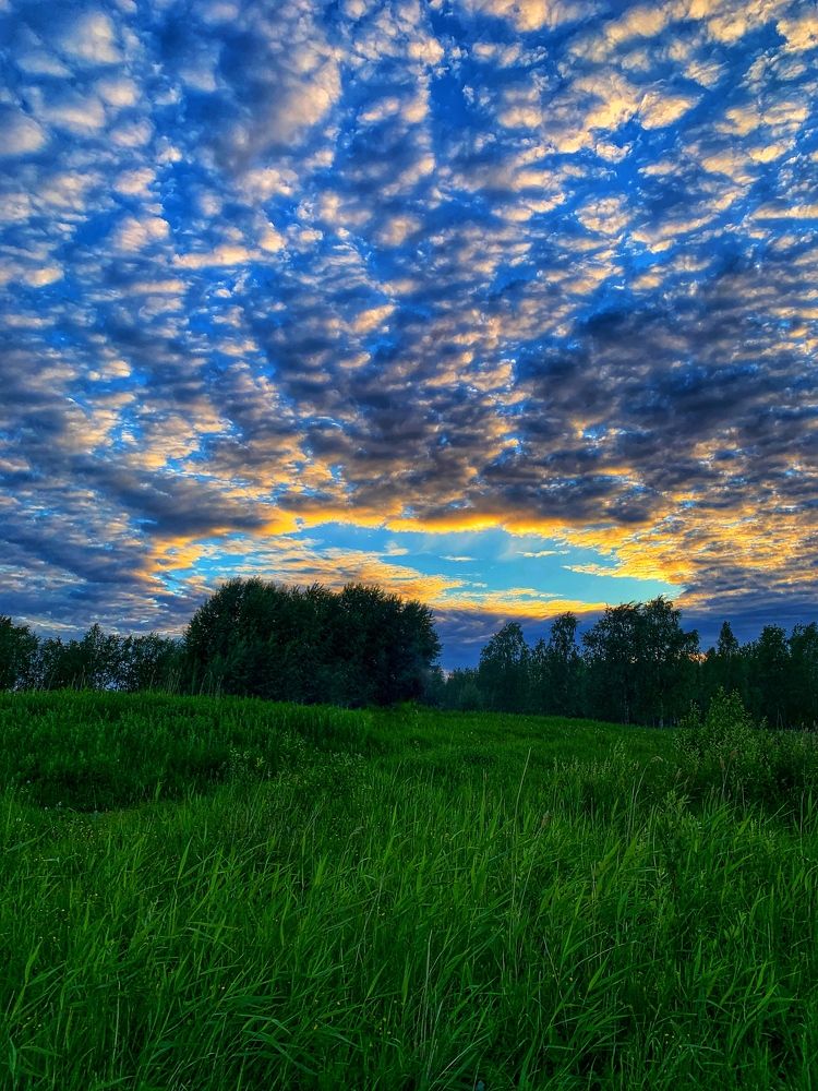 Photograph by Мария Василенко