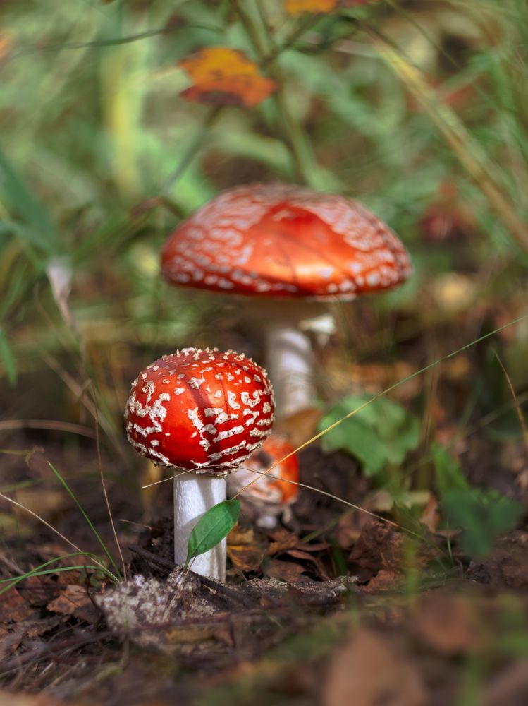 Photograph by Ольга Воронова