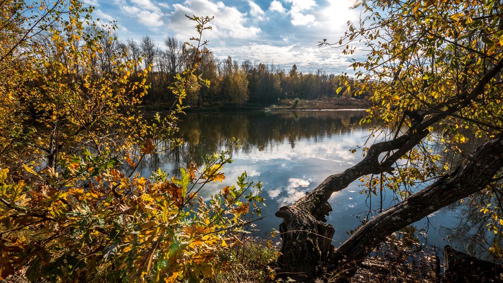 Photograph by Nikita Frolkin