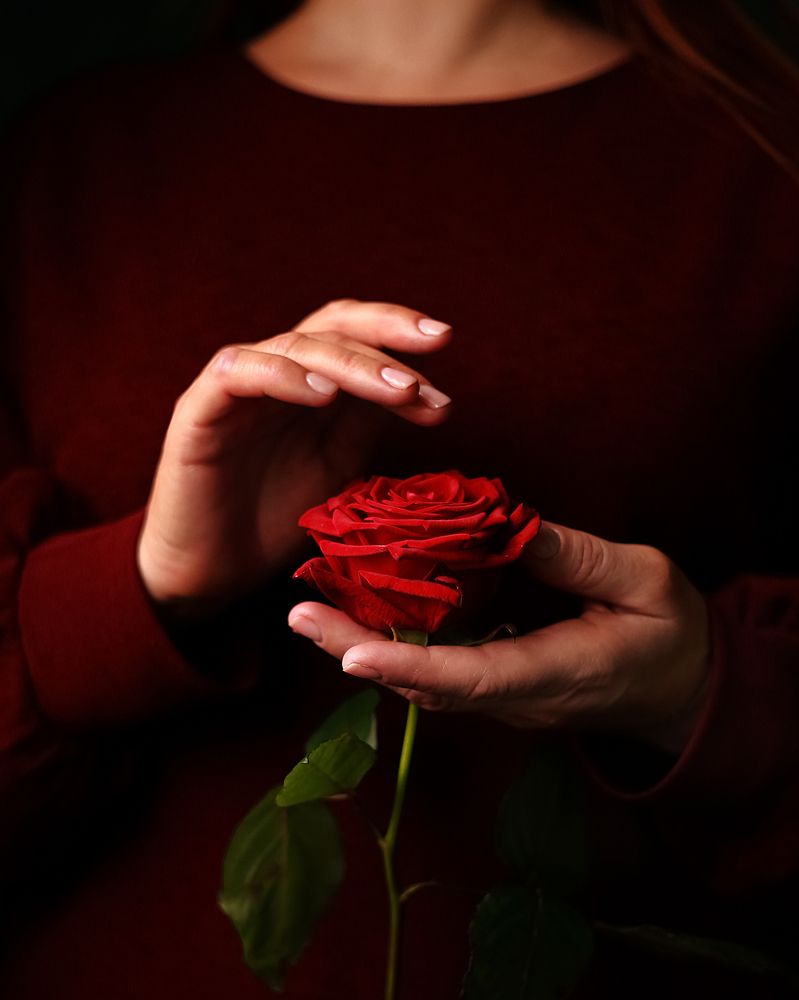 Photograph by Светлана Пичикина