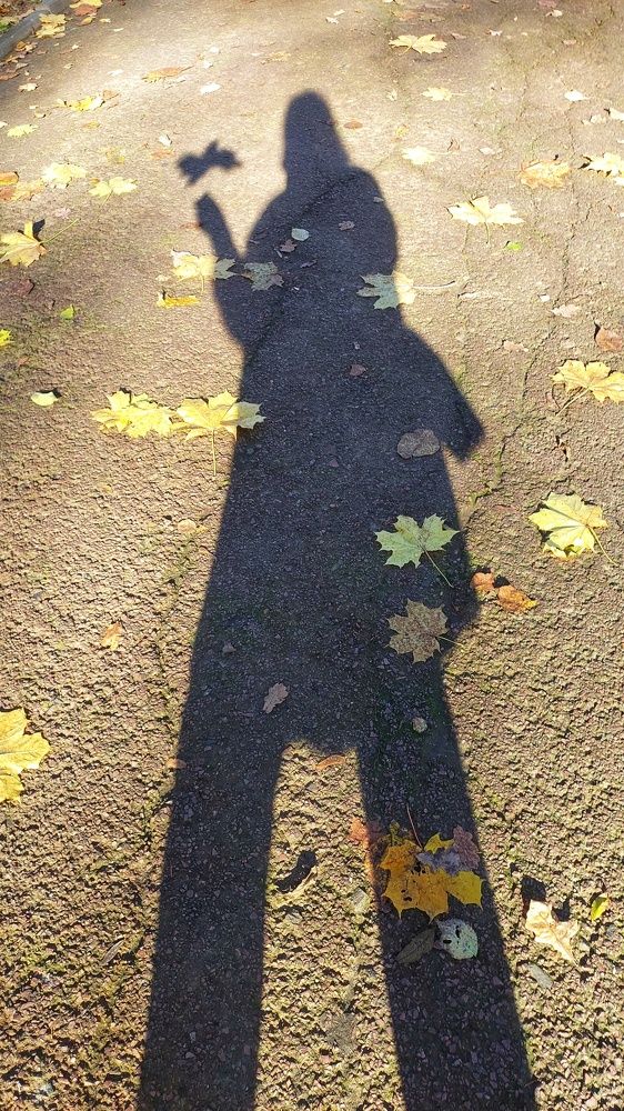 Photograph by Наталия Дроздова