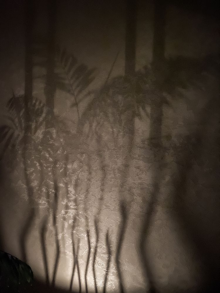 Photograph by Вероника Манакова