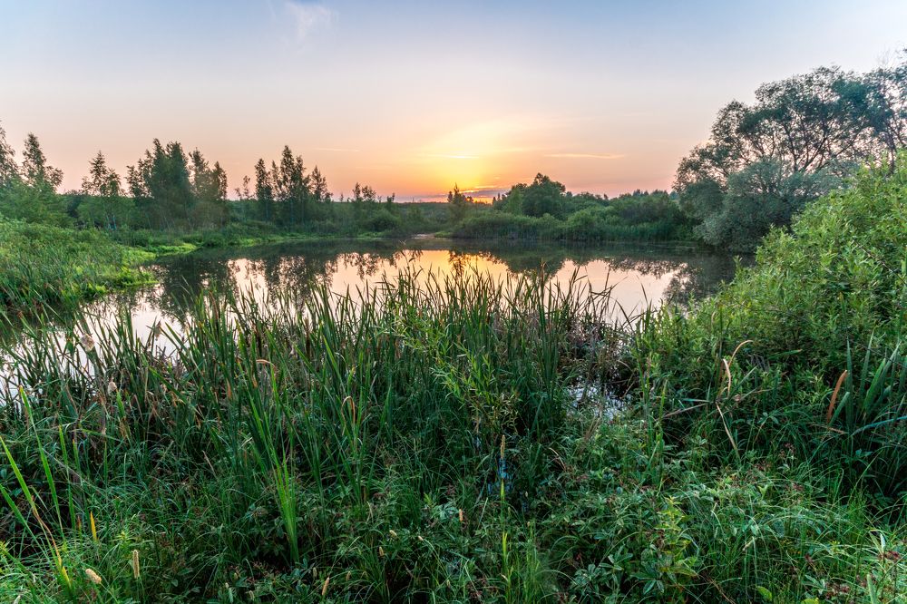 Photograph by Nikita Frolkin