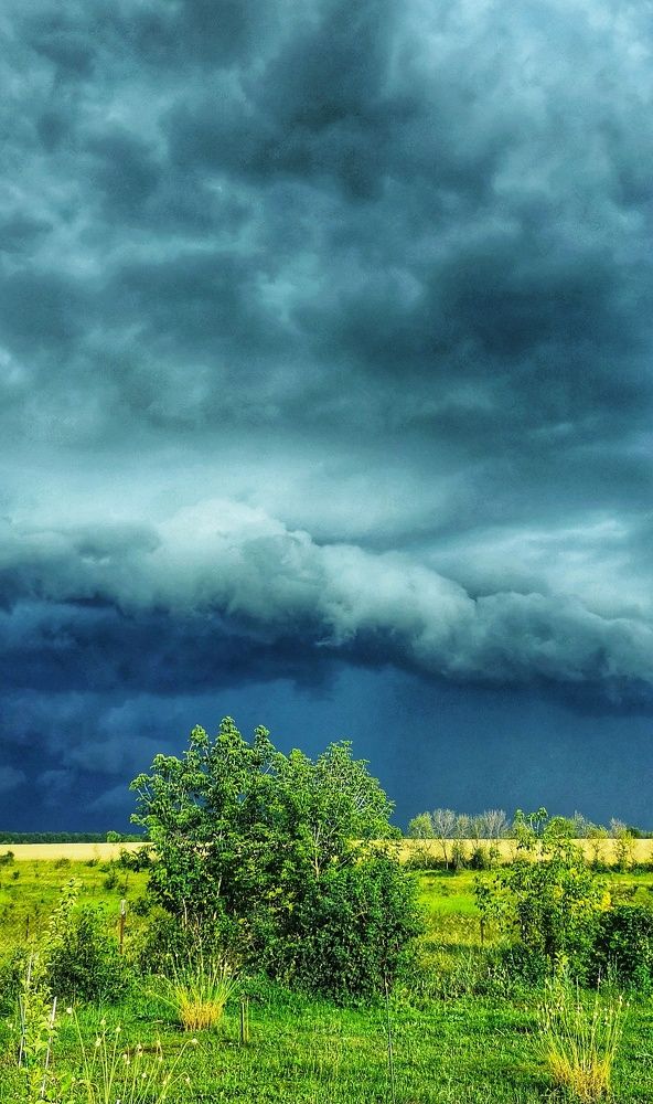 Photograph by Любовь Колмакова